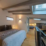 Apartment Le Loft 67