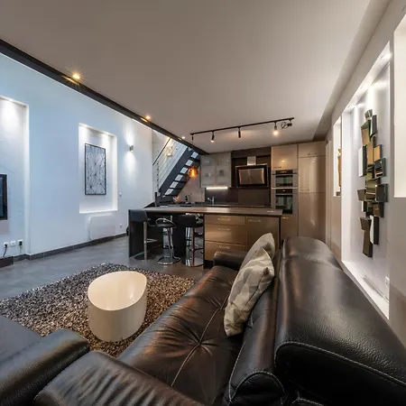 Le Loft 67 Apartment