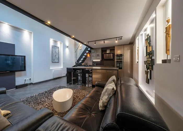 Le Loft 67 Appartement